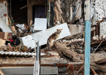 Tijekom ruske okupacije regije Chernihiv, u regiji je ubijeno 478 civila