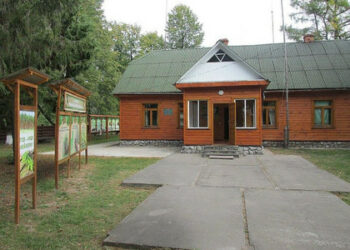 U regiji Zhytomyr, auto šumske straže eksplodirao na rudniku