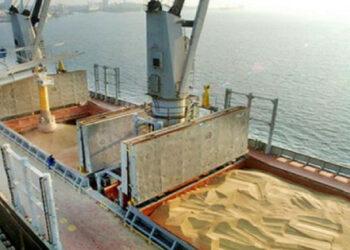 Zemlje EU-a planiraju pomorsku misiju koja će pratiti ukrajinsko žito – mediji