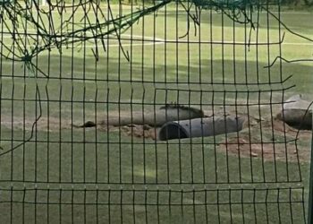 Знайдена у лісі біля Бидгоща ракета була запущена з російського літака