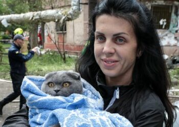 Росіяни знову здійснили нічну атаку України дронами й ракетами