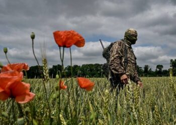 На Бердянському напрямку Сили оборони просунулися до 2 км