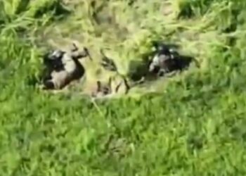 На Запоріжжі поранених бійців ЗСУ врятували за допомогою дронів