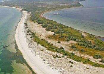 Українські природоохоронці заявили про тривалу пожежу на цінній степовій ділянці в Джарилгачі