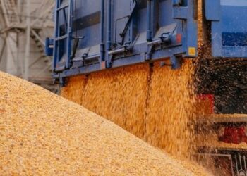 Зеленський анонсував зерновий коридор з України через Молдову і Румунію