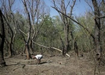 Російський дрон-камікадзе знову вибухнув на території Румунії