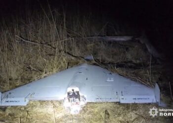 У Повітряних силах розповіли про систему боротьби з російськими дронами «Покрова»