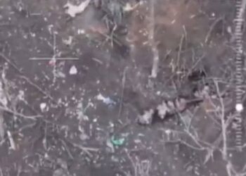 Російські військові на Донеччині вбили двох беззбройних українських полонених