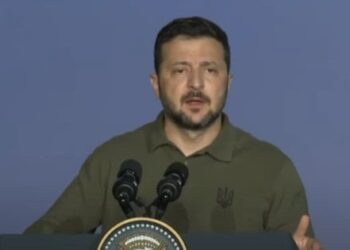 Сі Цзіньпін пообіцяв Володимиру Зеленському не продавати зброю Росії