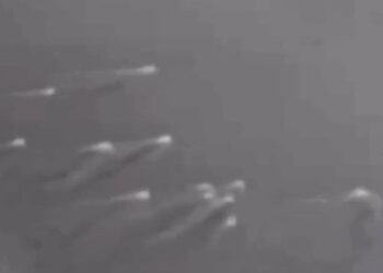 Українська розвідка показала перебіг операції біля узбережжя Криму