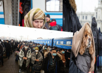 Львов облысының мемлекеттік мұрағаты орыс-украин соғысы туралы құжаттар мен айғақтар жинағын жариялады