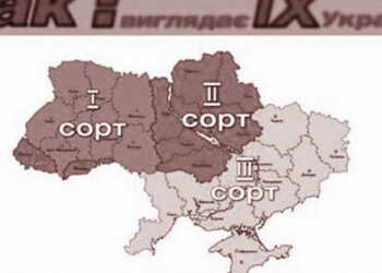 Бір отбасының сезімі