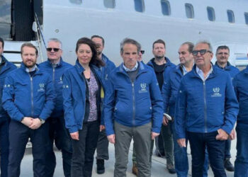 «Энергоатом» МАГАТЭ директорын ЗНПП-ны басып алуды заңдастыруға тырысқаны үшін айыптады