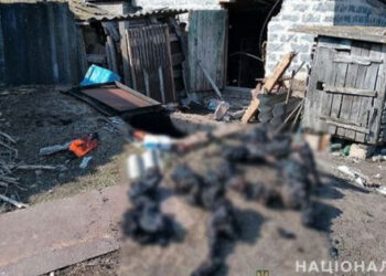 Харьков облысында орыстар екі ересек пен баланы тірі күйдірді