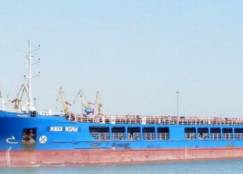 Ресейліктер Түркияға Бердянскіден ұрланған астықты әкелді