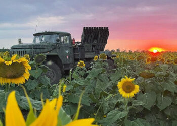 Соғыстың 172-ші күнінің қорытындысы: біздің жеңістеріміз бен шығынымыз