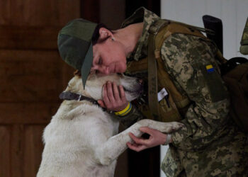 Соғыстың 96-шы күнінің қорытындысы: біздің жеңістеріміз бен шығынымыз