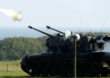 Украинаға алғашқы неміс Гепард зениттік пулеметтері келді