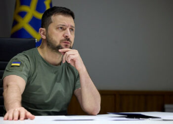 Ресей украиналық ормандардың үш миллион гектарын қиратты