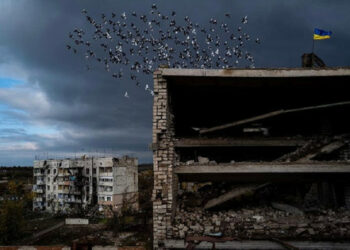 Соғыстың 250-ші күнінің қорытындысы: біздің жеңістеріміз бен шығынымыз