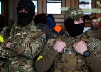 Парламент шетелдіктердің әскери қызмет өткеру тәртібін өзгертті