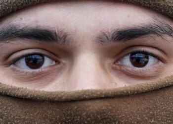 Соғыстың 335-ші күнінің қорытындысы: біздің жеңістеріміз бен шығынымыз