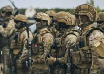 ІІМ «Дөрекі гвардия» ерікті шабуылдаушы бригадаларын құра бастады