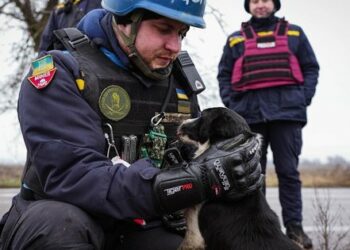 Соғыстың 351 күнінің қорытындысы: біздің жеңістеріміз бен шығынымыз