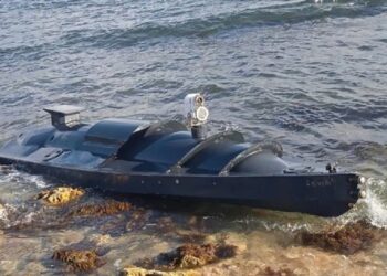 Росія звинуватила Україну в порушенні зернової угоди