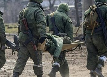 Солдати РФ підхопили сибірську виразку, розривши скотомогильник на Запоріжжі