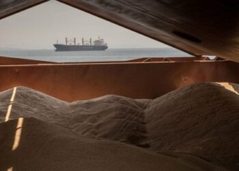 Росія обстрілами намагається не допустити Миколаївщину до «зернової угоди»