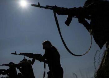 Сили оборони зайняли частину села Старомайорське на Донеччині