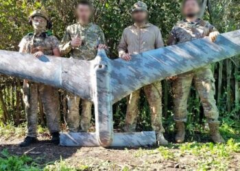 Прикордонники посадили новітній російський дрон «Елерон» Т-16