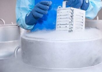 Зеленський підписав закон про збереження репродуктивних клітин військових після їхньої смерті