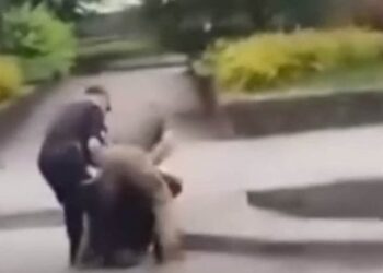 ТЦК відреагував на конфлікт із затриманням чоловіка на Львівщині