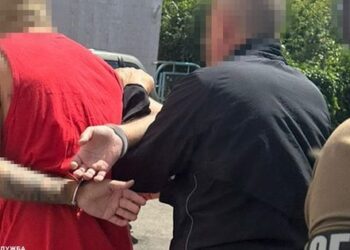 СБУ затримала фітнес-тренера з Одеси за спроби спалити авто ЗСУ у трьох містах України