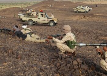 Українські спецслужби в Малі навчають туарегів керування безпілотниками, – Le Monde