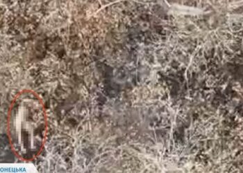 Росіяни розстріляли полонених бійців ЗСУ на Курському та Покровському напрямках