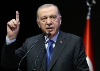 Президент Туреччини підготував власний план замороження війни в Україні