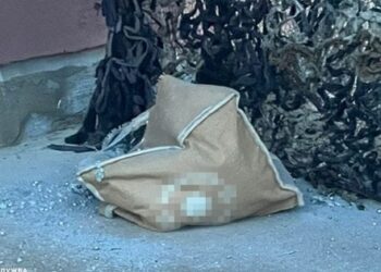 Двоє агентів російських спецслужб влаштували теракт біля ТЦК у Бердичеві