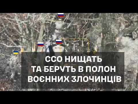 YouTube бейнелері