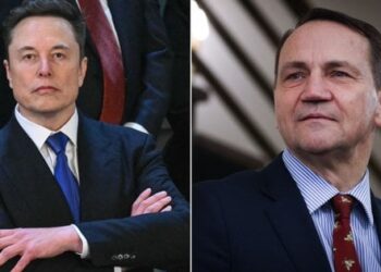 Польща відреагувала на заяву Ілона Маска про можливість відключити Starlink для України