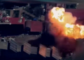 Jak wyspa węży została wyzwolona: chronologia i wideo