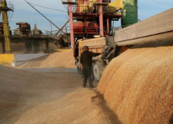 Rosja chce znieść sankcje na eksport zboża w zamian za otwarcie ukraińskich portów