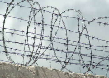 Siedmiu więźniów kolonii Drohobycz zostało ułaskawionych za udział w obronie Ukrainy