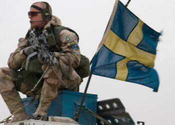 Szwecja deklaruje gotowość wysłania wojska do Donbasu