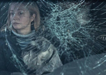 Wyniki 116. dnia wojny: nasze zwycięstwa i straty