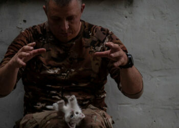 Wyniki 153. dnia wojny: nasze zwycięstwa i straty