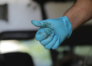 Wyniki 163 dnia wojny: nasze zwycięstwa i straty