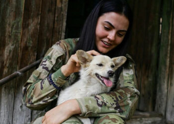 Wyniki 177. dnia wojny: nasze zwycięstwa i straty